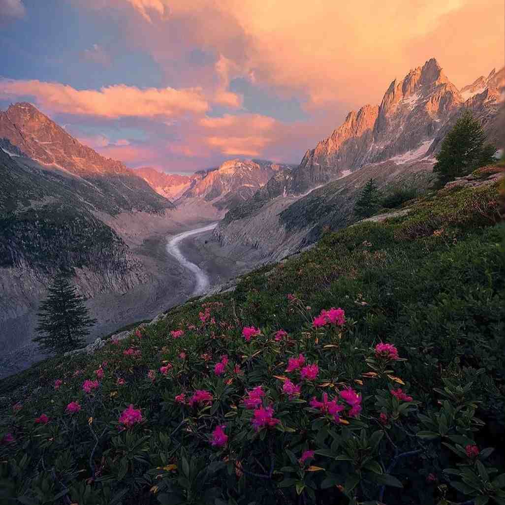 آهنگ جدید  مخ تعطیلات از همه ایراد میگیره خودش پره